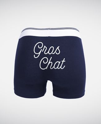 Boxer Gros chat