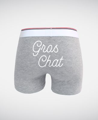 Boxer Gros chat