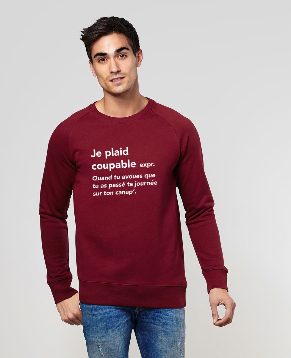 Sweatshirt homme Je plaid coupable