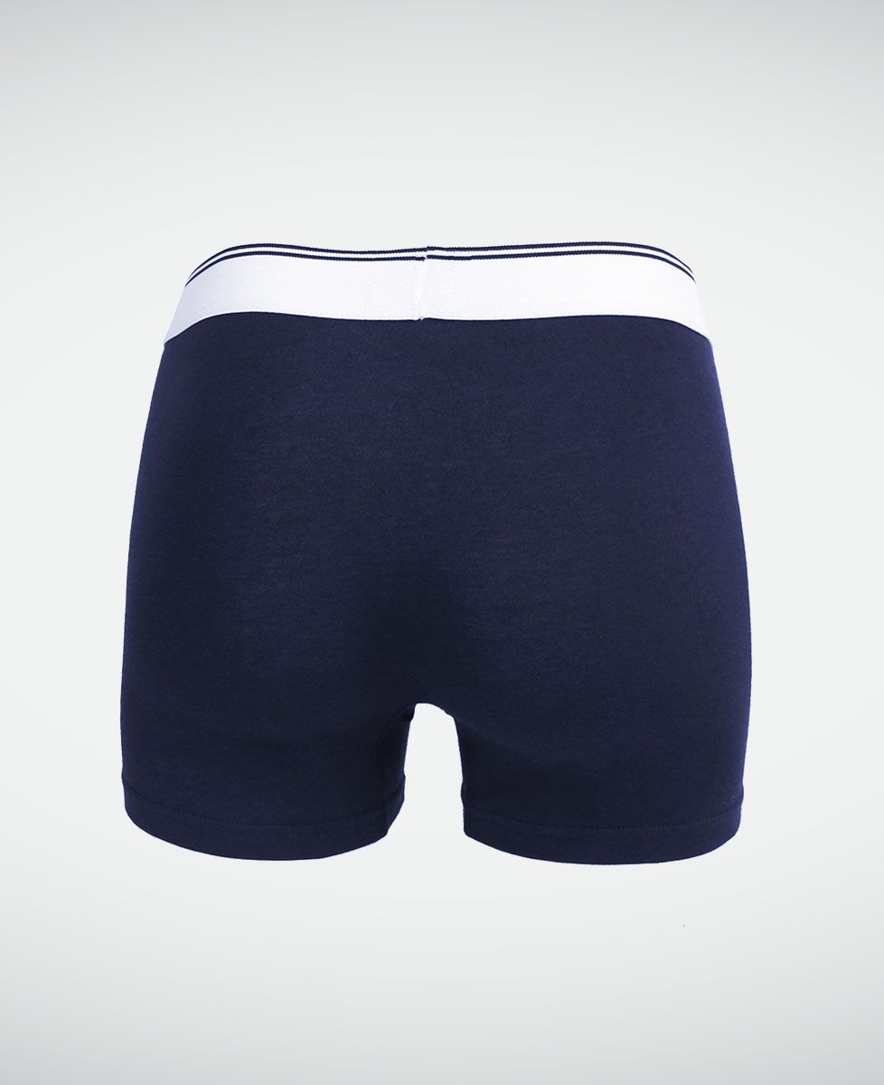 Boxer Le bazar de Papa