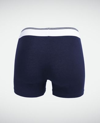 Boxer Le bazar de Papa