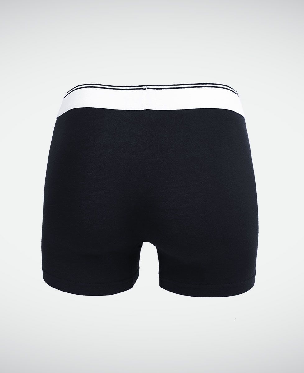 Boxer Le bazar de Papa