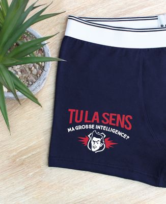 Boxer Tu la sens ma grosse intelligence
