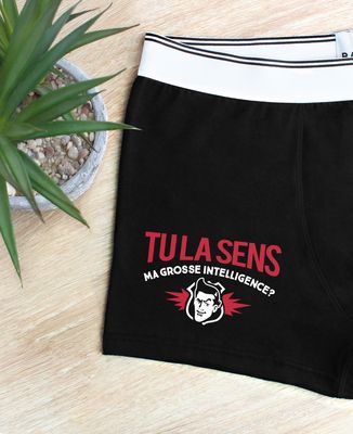 Boxer Tu la sens ma grosse intelligence