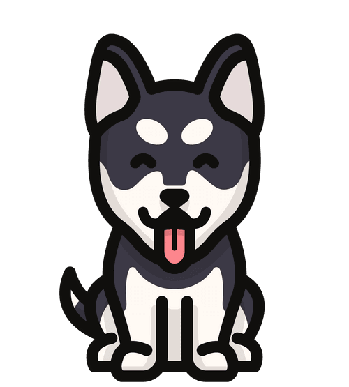 Image iconne
