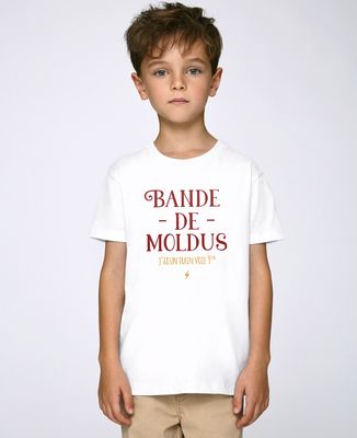 T-Shirt enfant Bande de moldus