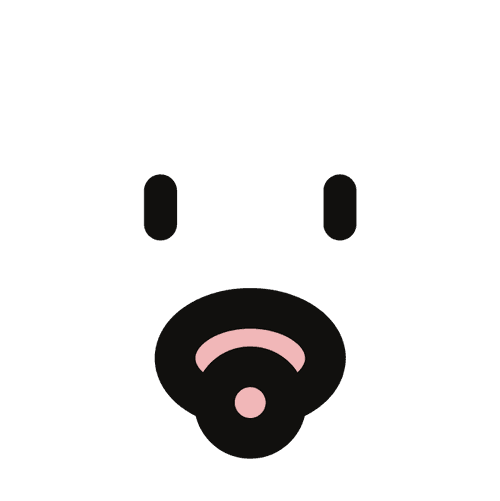 Image iconne