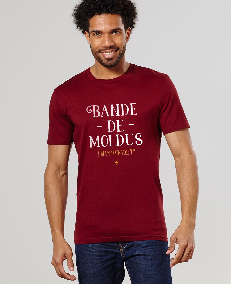 T-Shirt homme Bande de moldus