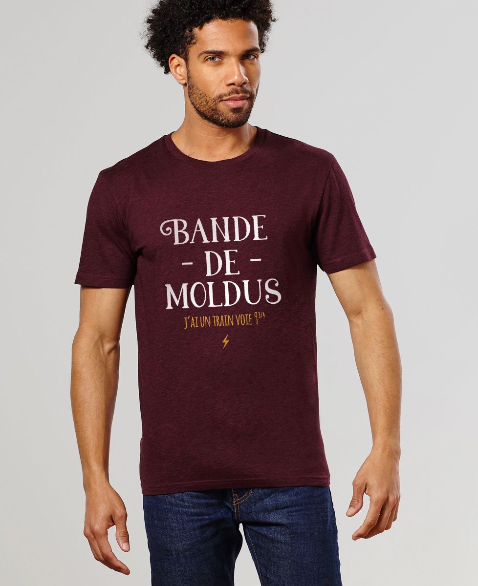 T-Shirt homme Bande de moldus