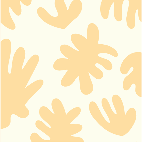 Image iconne