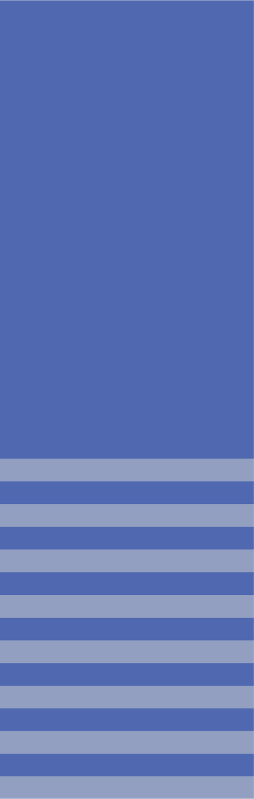 Image iconne