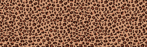 Image iconne