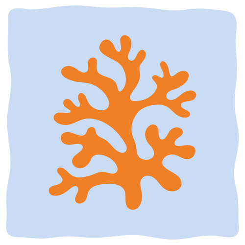 Image iconne