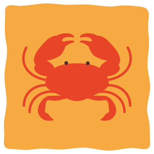 Image iconne