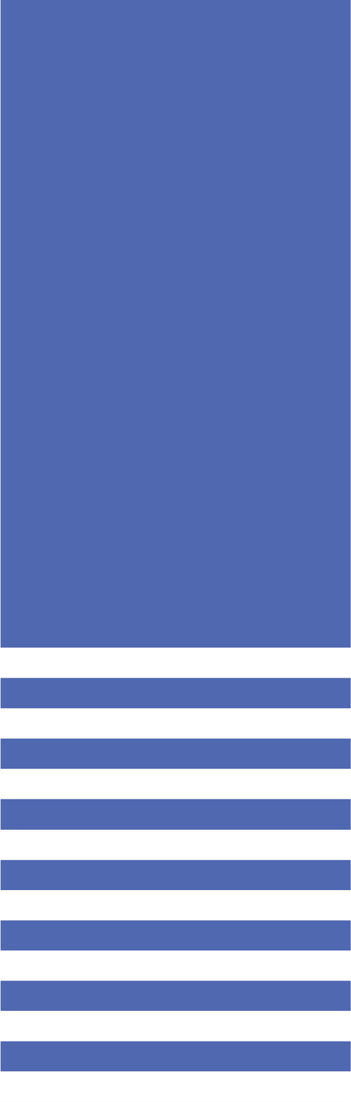 Image iconne