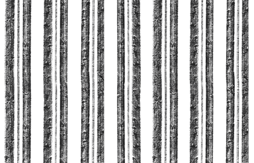 Image iconne