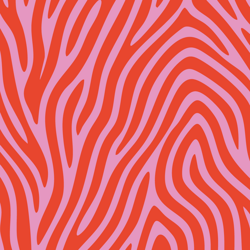 Image iconne