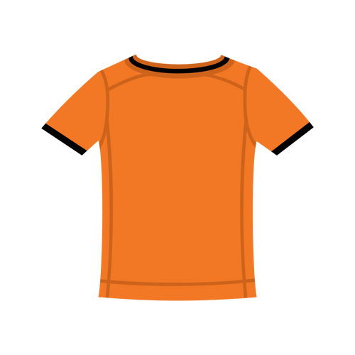 Image iconne