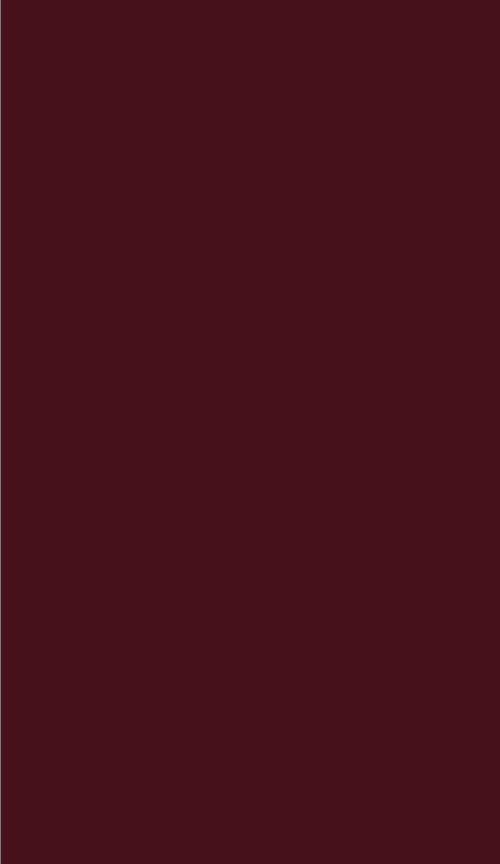 Image iconne