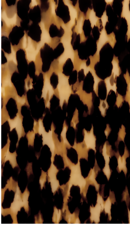 Image iconne