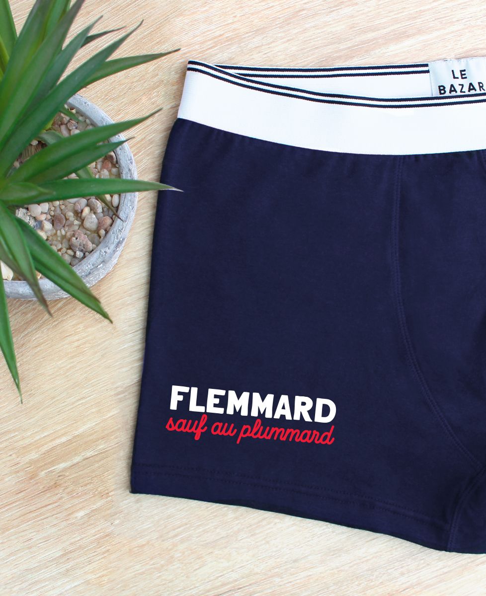 Boxer Flemmard sauf au plummard