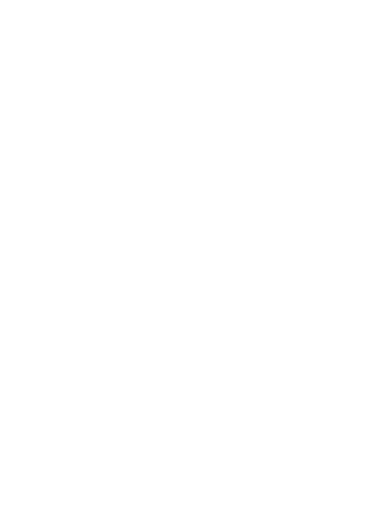 Image iconne