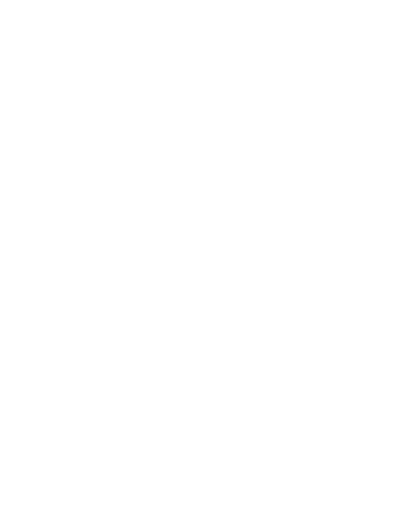 Image iconne