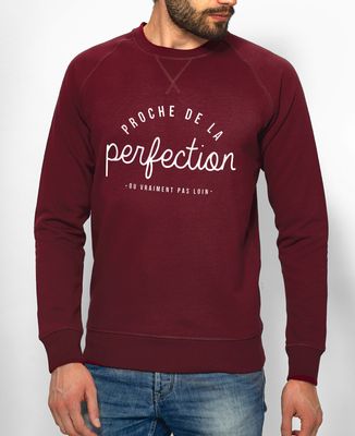 Sweatshirt homme La perfection