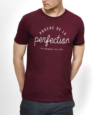 T-shirt homme La perfection